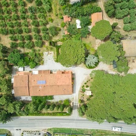 Antichi Palmenti - Erica Villa San Vincenzo Exterior photo