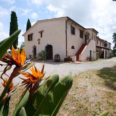 Antichi Palmenti - Erica Villa San Vincenzo Exterior photo