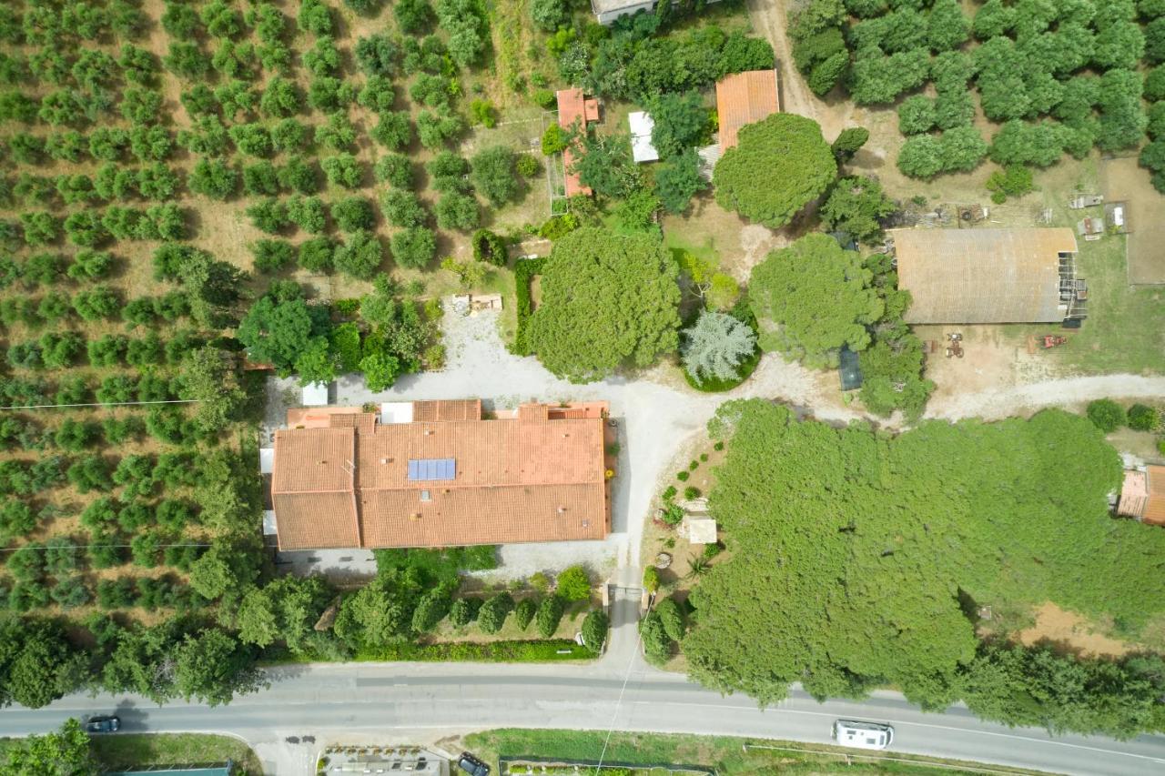Antichi Palmenti - Erica Villa San Vincenzo Exterior photo