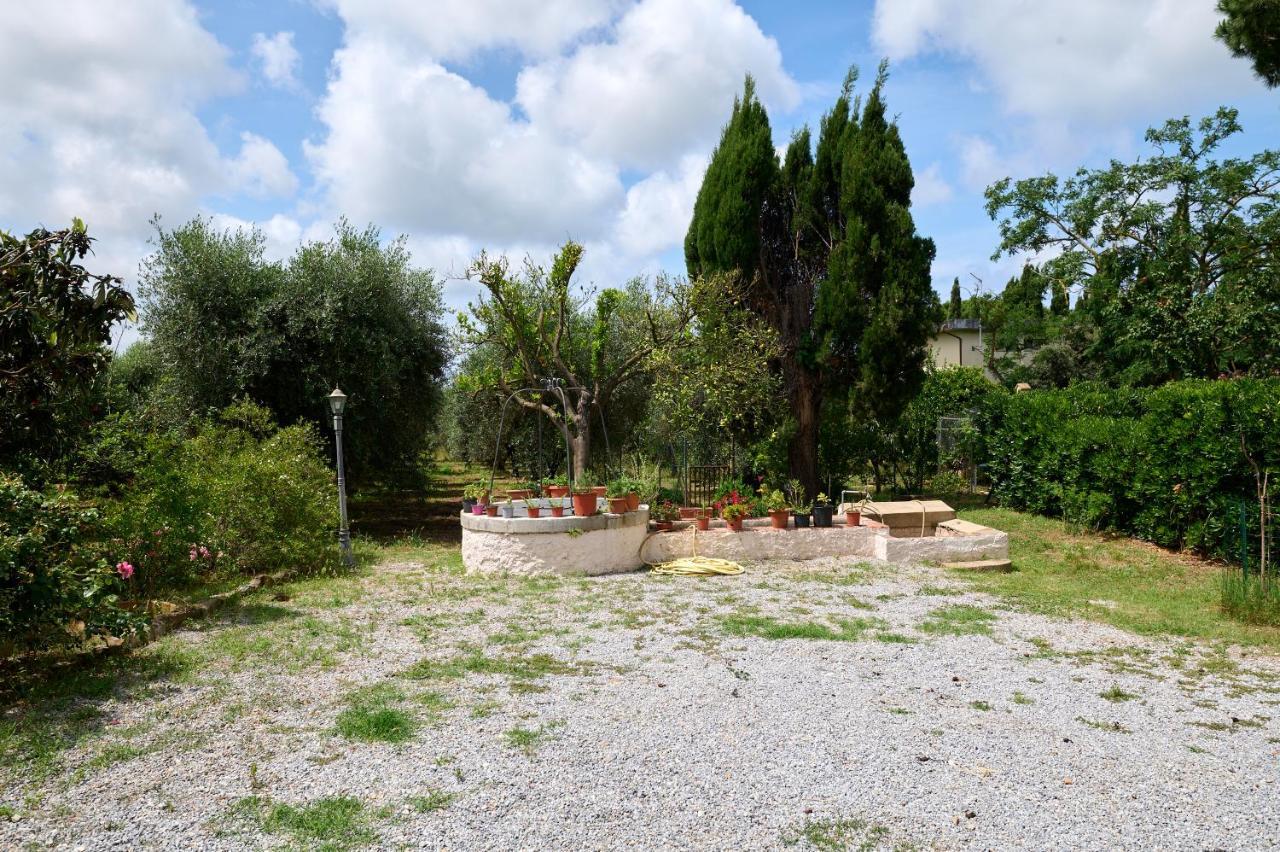 Antichi Palmenti - Erica Villa San Vincenzo Exterior photo