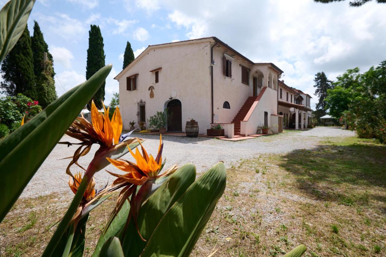 Antichi Palmenti - Erica Villa San Vincenzo Exterior photo